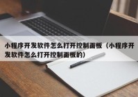 小程序开发软件怎么打开控制面板（小程序开发软件怎么打开控制面板的）