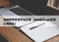 徐州软件开发平台公司（徐州软件app开发公司排名）