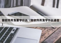 做软件开发要学什么（做软件开发学什么语言）