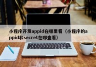 小程序开发appid在哪里看（小程序的appid和secret在哪查看）