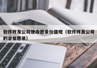 软件开发公司使命愿景价值观（软件开发公司的企业愿景）